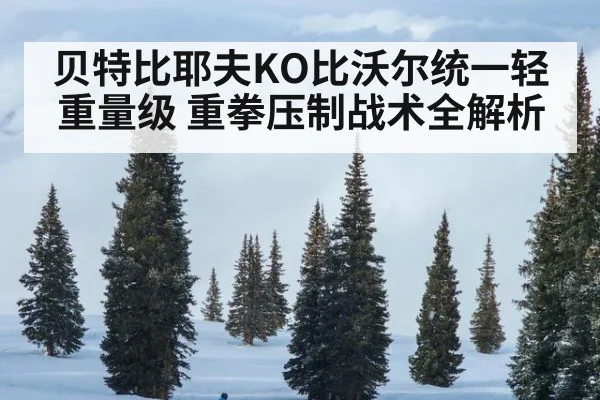 贝特比耶夫KO比沃尔统一轻重量级 重拳压制战术全解析