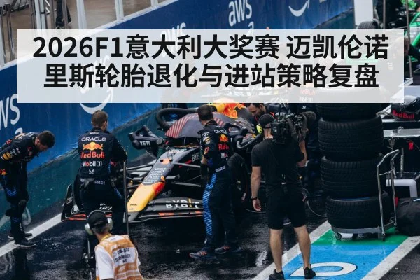 2026F1意大利大奖赛 迈凯伦诺里斯轮胎退化与进站策略复盘
